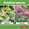 Natural Organic Blood & Bone Fertiliser
