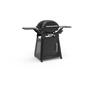Family Q Plus 3100N+ BBQ