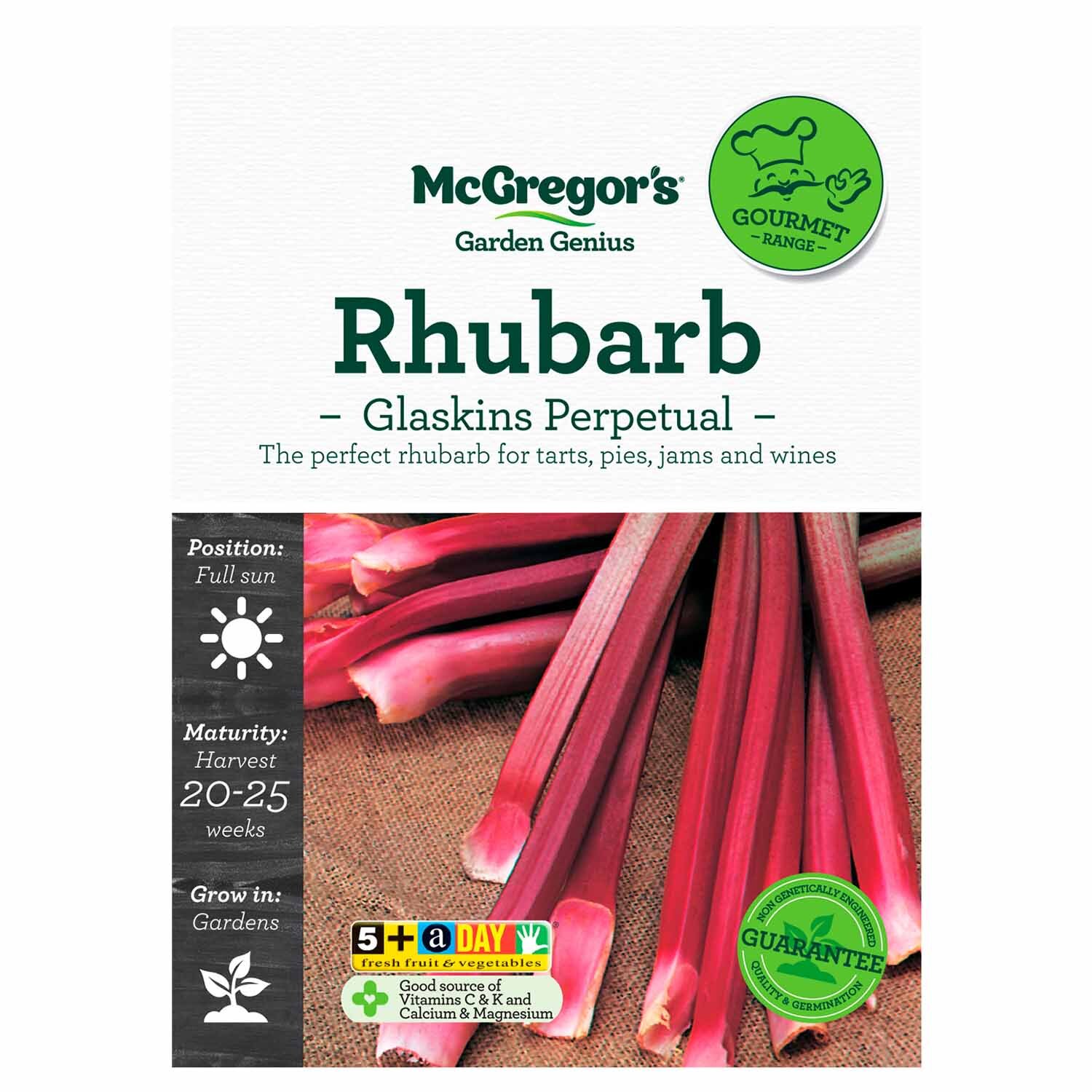 Glaskins Perpetual Rhubarb  Gourmet Seed