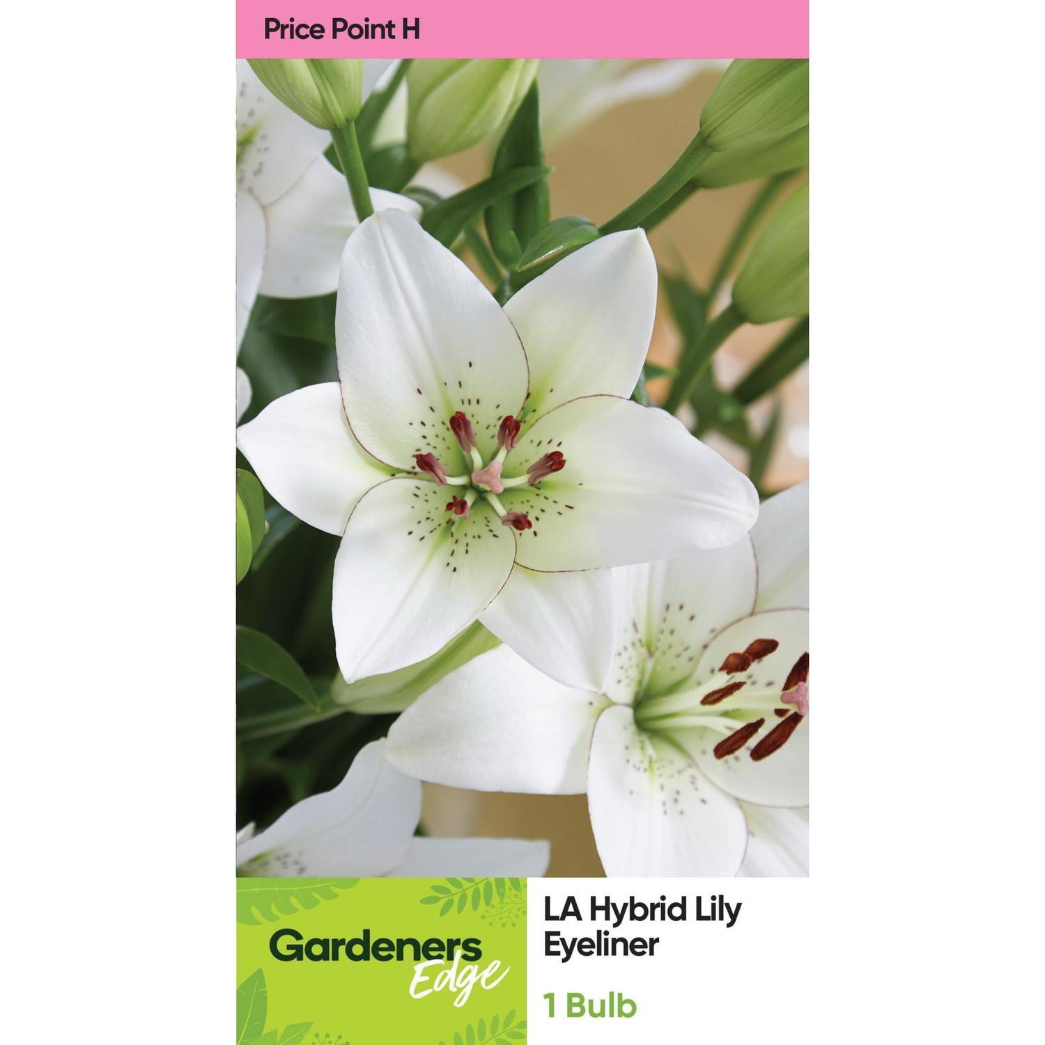 Lily La Hybrid Eyeliner Pack of 1