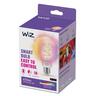 Smart Bulb Clear 470 Lumens G95 E27 Filament 6.3 Watt RGB