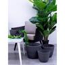 Indoor Egg Pot