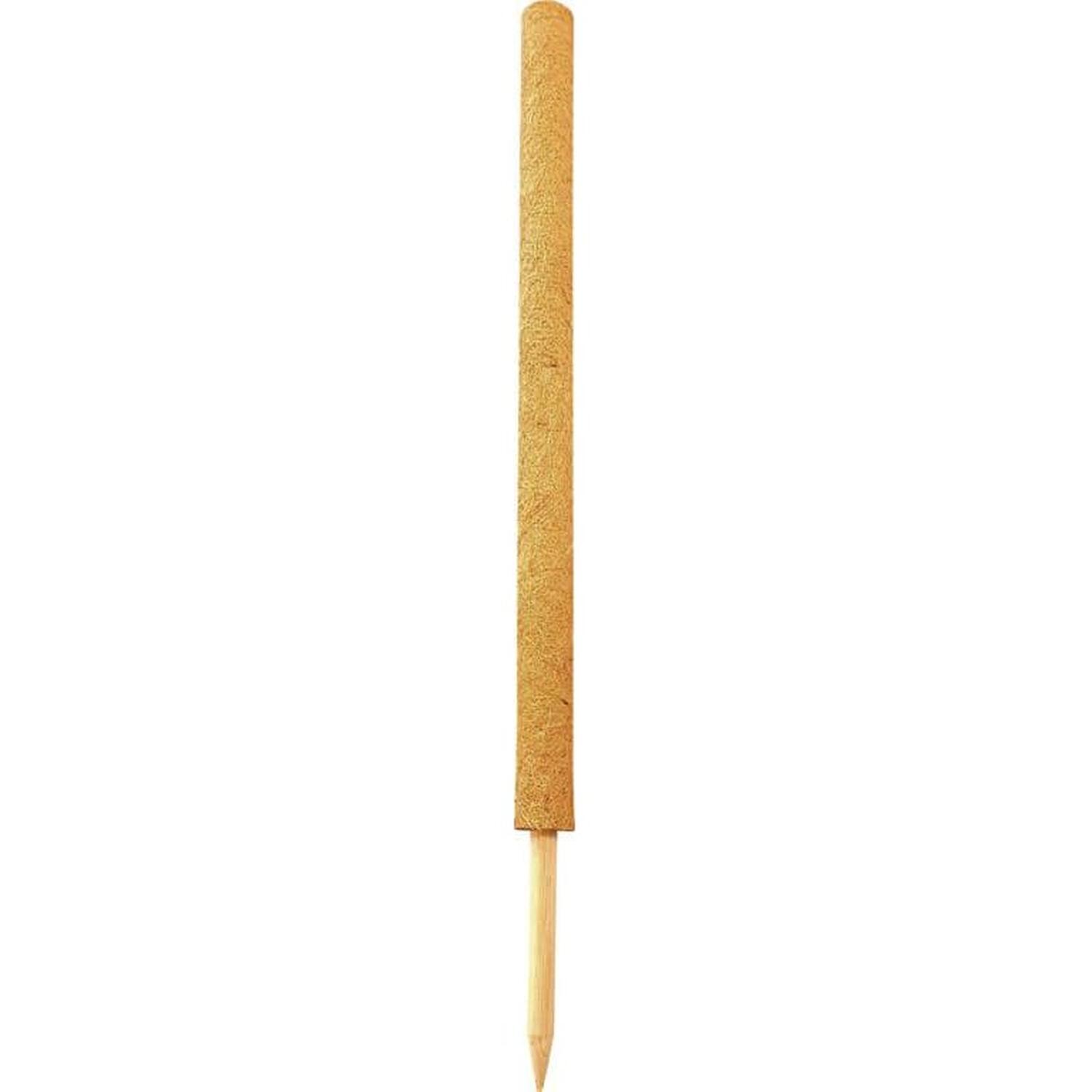 Coco Fibre Indoor House Plant Pole