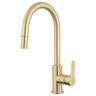 Purity Emotion Gooseneck Pulldown Sink Mixer Brushed Brass