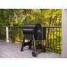 Pro 575 Wood Pellet Smoker