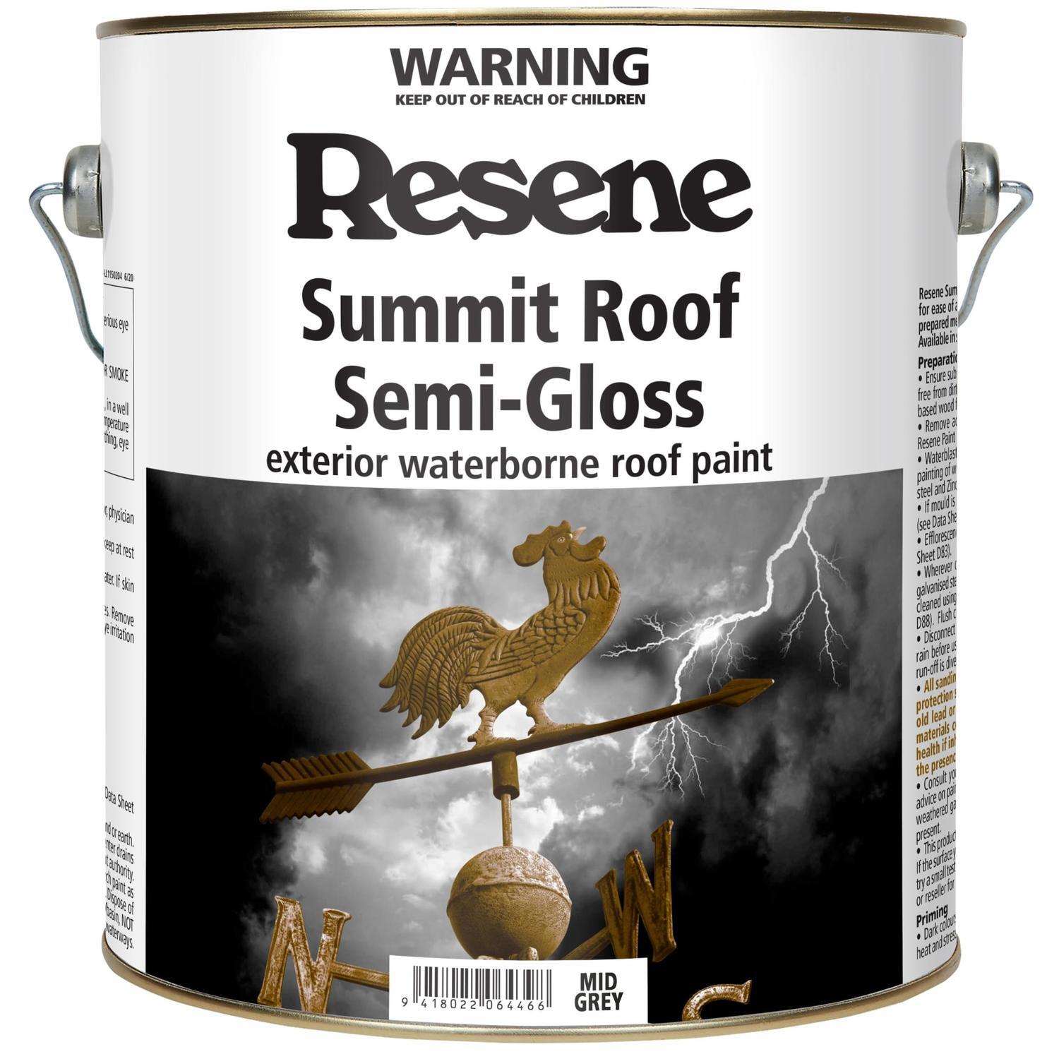 Roof paint