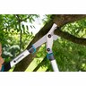 Pruning Lopper