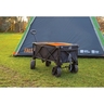 Folding Trolley