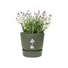 Plastic Pot with Saucer Green 20cm