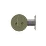 Deadbolt  Polished Brass