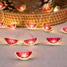 Assorted Fruit String lights 2.4m Warm White