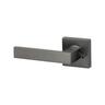 Privacy Lever Handle