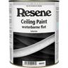 Ceiling Paint Flat Waterborne Ceiling Paint 1L White