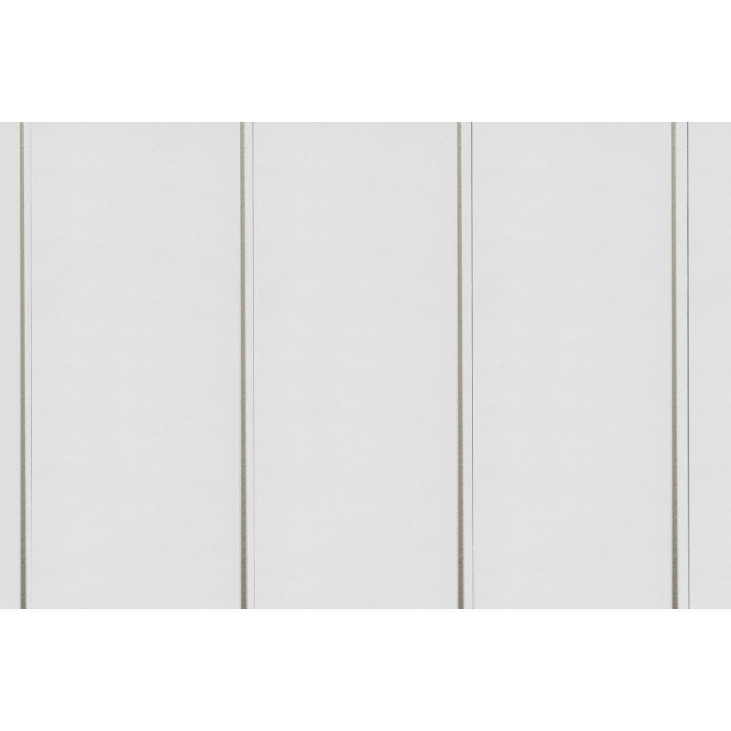 Cladding Panel W: 3050mm H: 9.5mm L: 1196mm