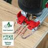 AdvancedSaw Jigsaw Skin 18 Volt