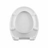Toilet Seat