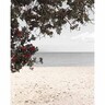 Splashback Summer Beach H: 750mm, W: 900mm Black & White