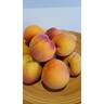 Peach ‘Peacherine’