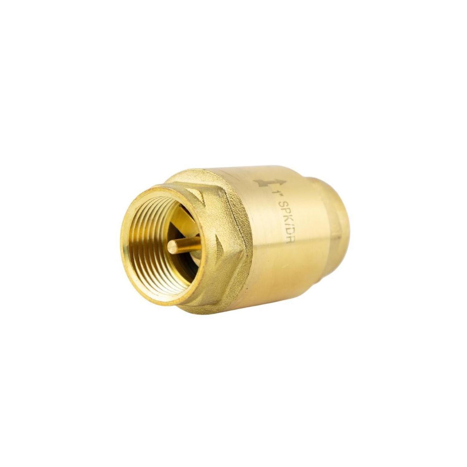 Check Valve