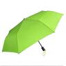 Umbrella Auto Open with Bag Green