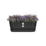 Plastic Trough with Saucer Black 50cm