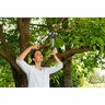 Pruning Lopper
