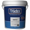 Ceiling Paint 10 litre White