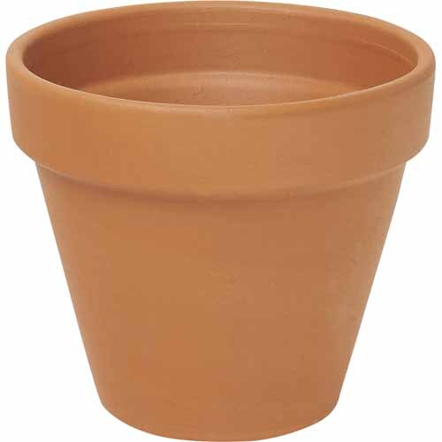 Italian Vasi Pot