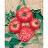 Heirloom Tomato Brandywine Pink