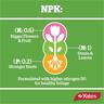 Indoor Natural Fertiliser Spray