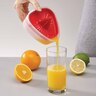Compact Juicer
