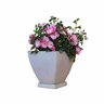 Flower Carpet Rose Pink Splash