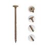 Structural Screw