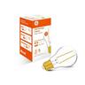LED Classic GLS Filament