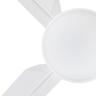 Ceiling Fan With Light