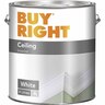 Interior Ceiling Paint 4L White