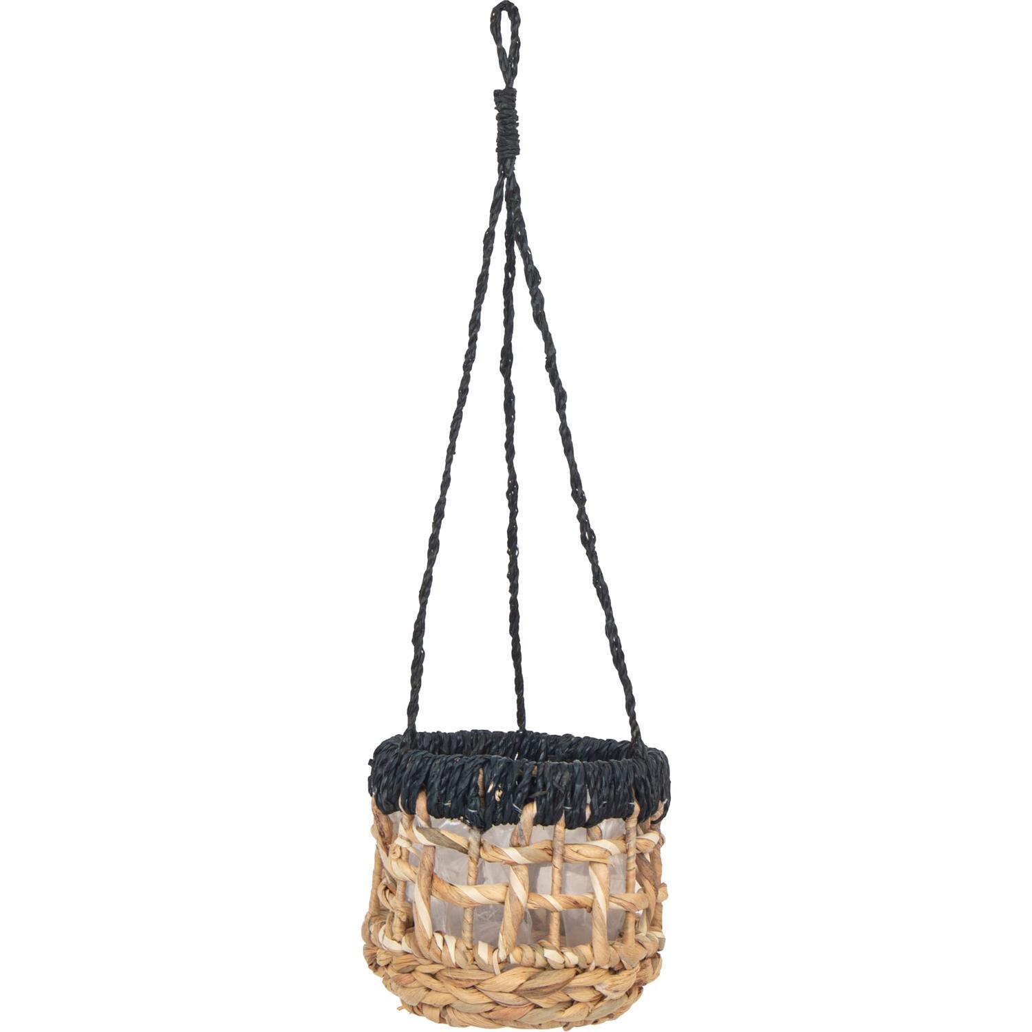 Bang Leaf Hanging Indoor Pot