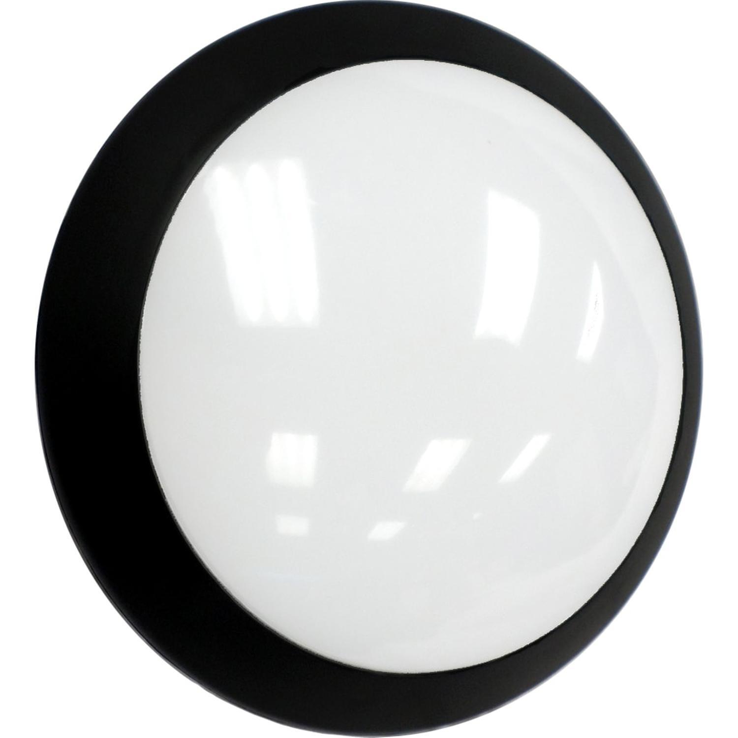 Oyster LED