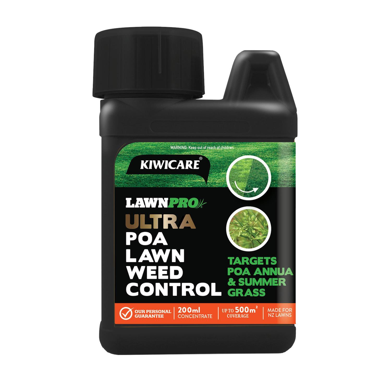 Poa Lawn Weed Control