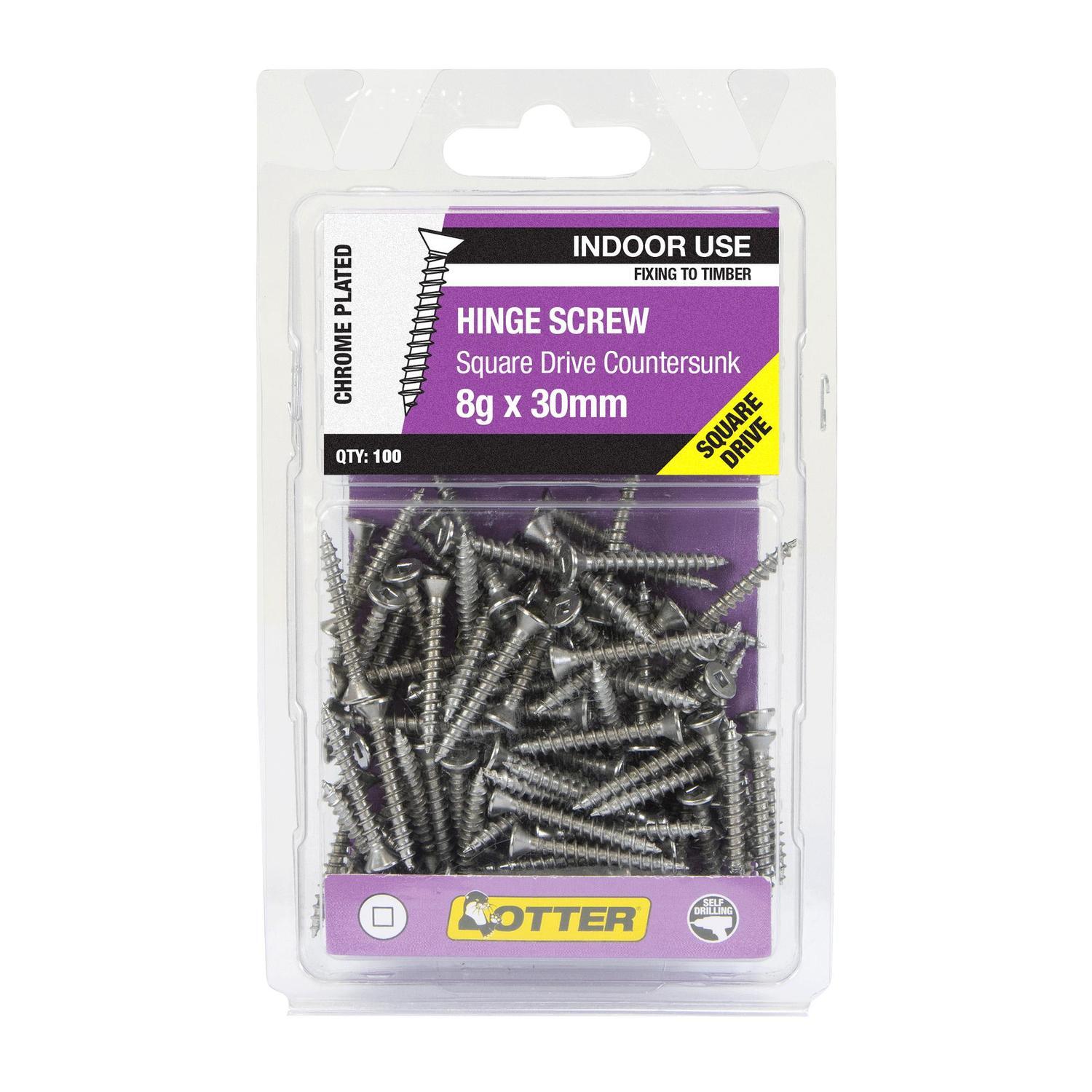Hinge Screws
