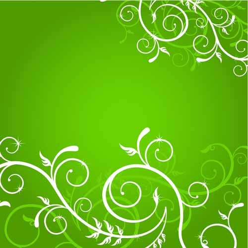 Splashback Glass Kermit