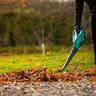 Cordless Garden Leaf Dust Blower Kit