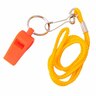 Whistle Lanyard