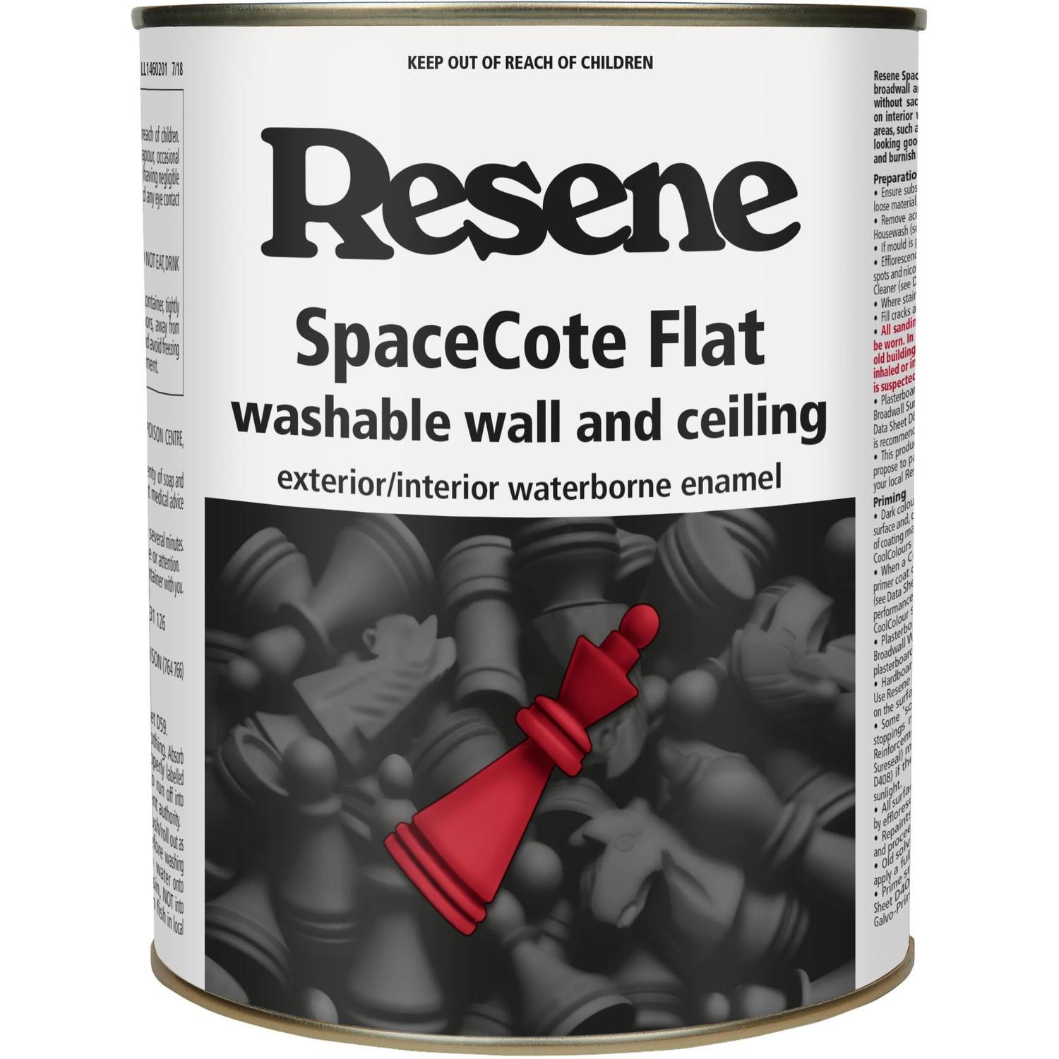 Wall and ceiling paint