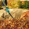 Cordless Garden Leaf Dust Blower Kit