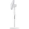 Pedestal Fan