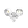 Security Light Power Adjustable White
