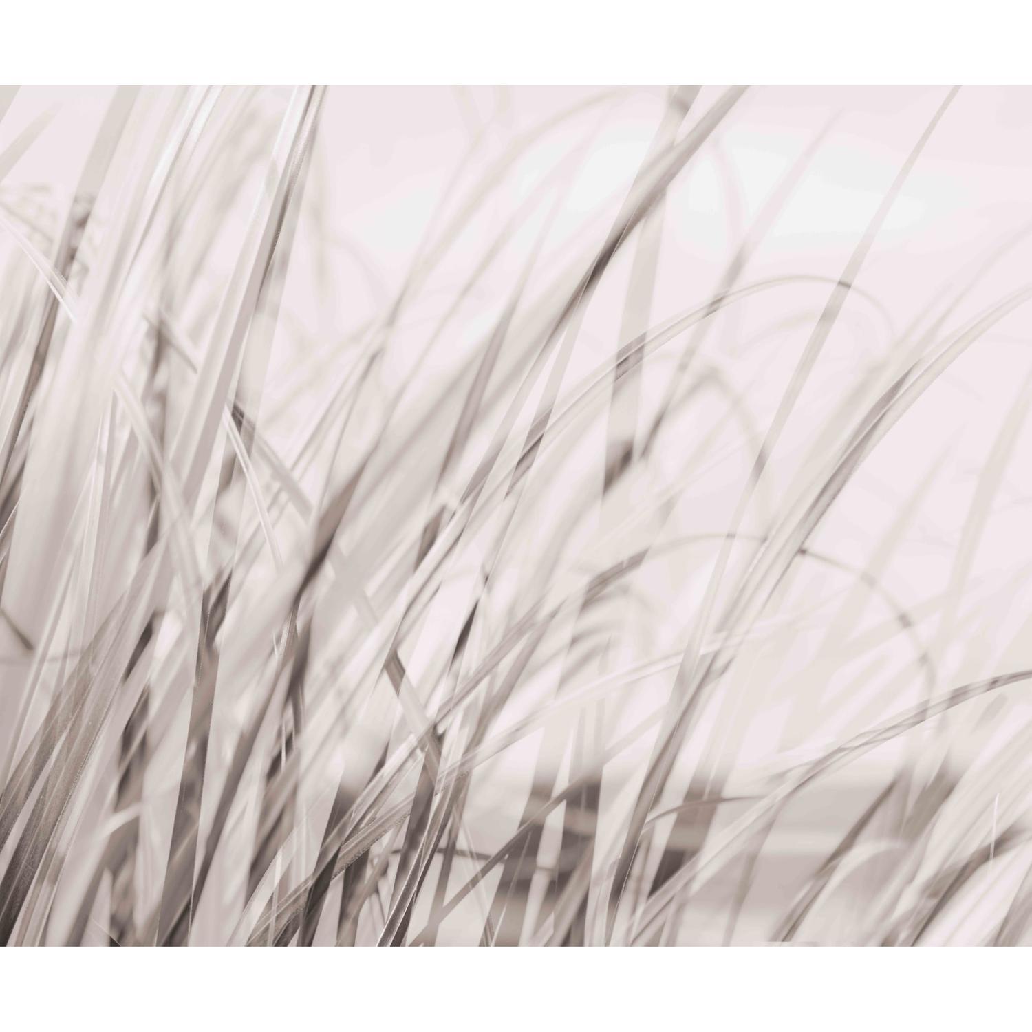 Splashback Sand Dunes