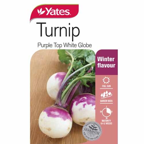 Turnip Purple Top