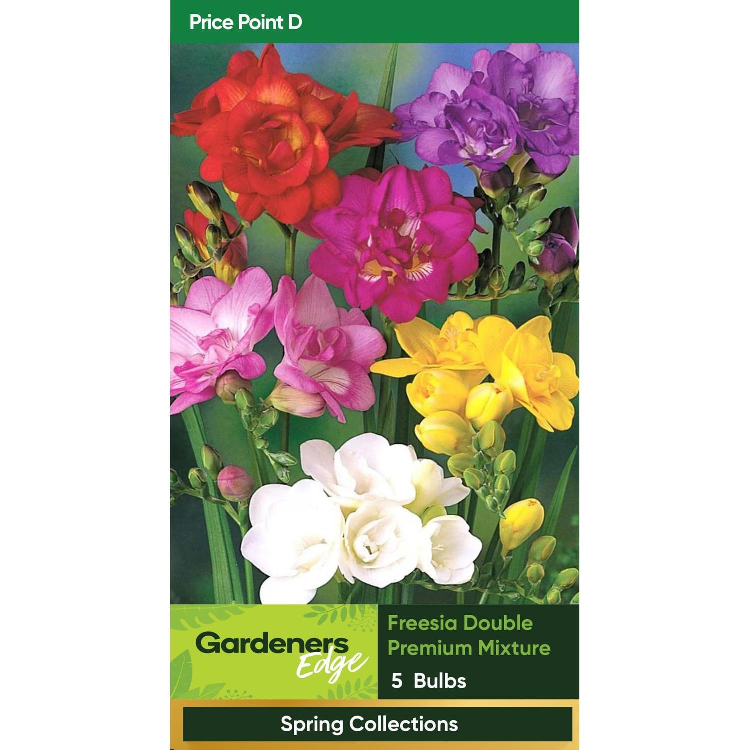 Freesia Premium Mixed Pack of 5